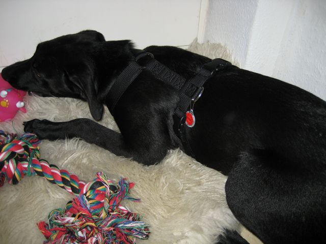 Bild 2